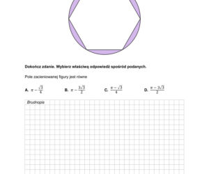 Matura próbna 2026 matematyka. - arkusz CKE