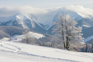Szczyrk zimą. Co sprawia, że to miejsce wciąż hipnotyzuje Polaków?