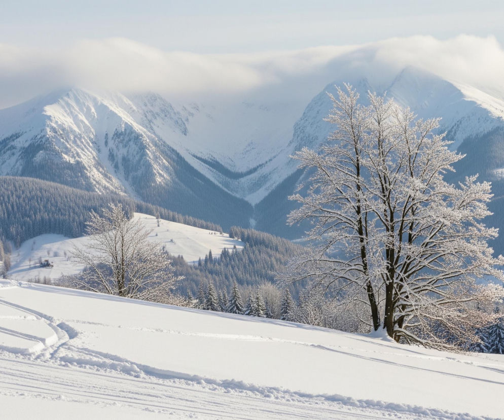 Ośnieżony krajobraz górski wypełnia cały kadr, z dominującym jasnoniebieskim niebem z kilkoma rozproszonymi chmurami w górnej części. Na pierwszym planie widać świeży, biały śnieg pokrywający faliste wzgórza, z widocznymi śladami nart lub deski snowboardowej tworzącymi zakręcone linie. Po prawej stronie wznosi się nagie drzewo liściaste, którego gałęzie są gęsto pokryte szronem, lśniąc w słońcu.

Za nim rozciąga się pasmo iglastych lasów, również oprószonych śniegiem, które przechodzą w ciemniejsze odcienie niebieskiego i zieleni w oddali. Na horyzoncie wznoszą się majestatyczne, ośnieżone szczyty górskie, częściowo zasłonięte przez białe chmury, co dodaje głębi i tajemniczości scenie. W tle widać także kilka niewielkich, ośnieżonych budynków.