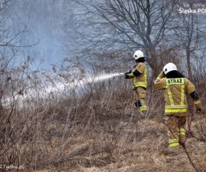 Chcieli wypalić trawę. Spalili 6 samochodów