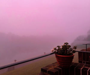 Różowa mgła nad Europą! Meteorolodzy mają wyjaśnienie