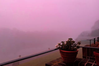 Różowa mgła nad Europą! Meteorolodzy mają wyjaśnienie