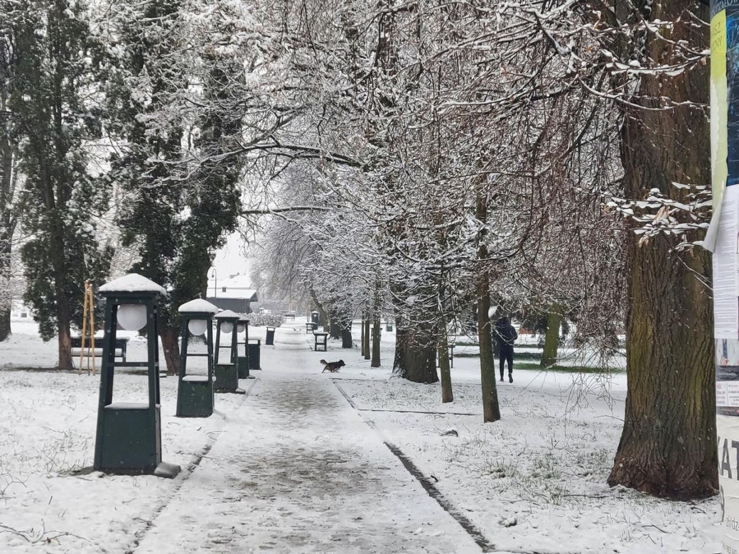 Zima w kwietniowym Zamościu. Sypnęło śniegiem