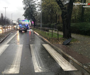 Katowice. ŚMIERĆ zebrała żniwo na drogach. Policjanci apelują do mieszkańców