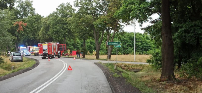 Auto wypadło z drogi i uderzyło w drzewo, 13-latek zginął na miejscu. Nowe ustalenia w sprawie tragicznego wypadku