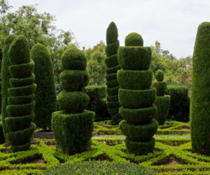 Topiary
