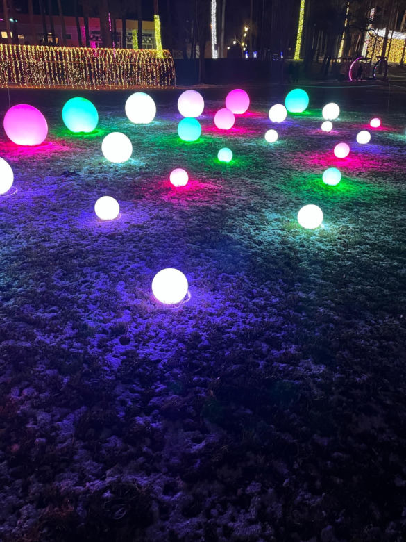 Garden of Lights w Szczecinie