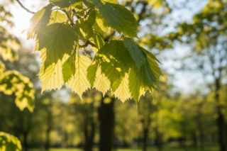 Weekend w Gorzowie Wielkopolskim z nagłą zmianą pogody. Sobota będzie słoneczna i ciepła