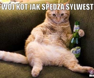 MEM 