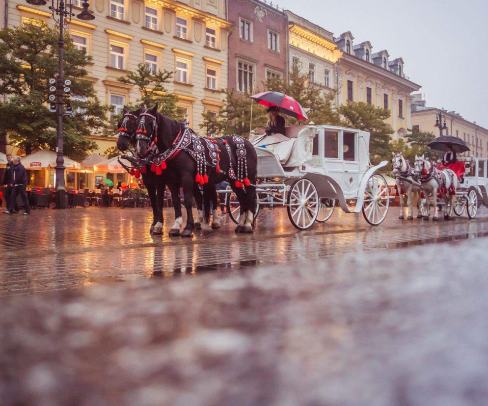 Rynek Główny w Krakowie [ZDJĘCIE DNIA]