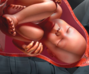 Poród z perspektywy dziecka - krok po kroku