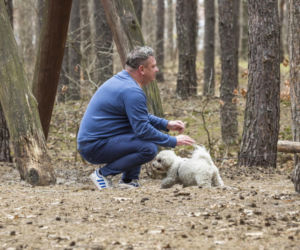Wójcik zrzuca kilogramy po świętach