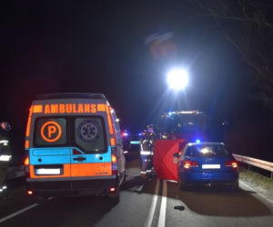 Kobieta i mężczyzna zginęli na drodze! Koszmar pod Działdowem [ZDJĘCIA]