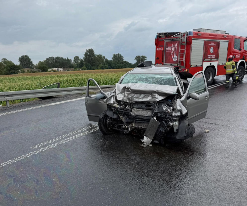 Makabryczny wypadek na Dolnym Śląsku. Dwie osoby zginęły