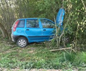 Zderzenie z sarną mogło mieć tragiczne skutki