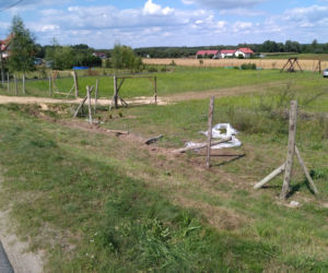 Poseł PiS Łukasz Zbonikowski spowodował wypadek i wrzeszczał, zamiast pomóc ofiarom