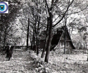 Stare Starachowice