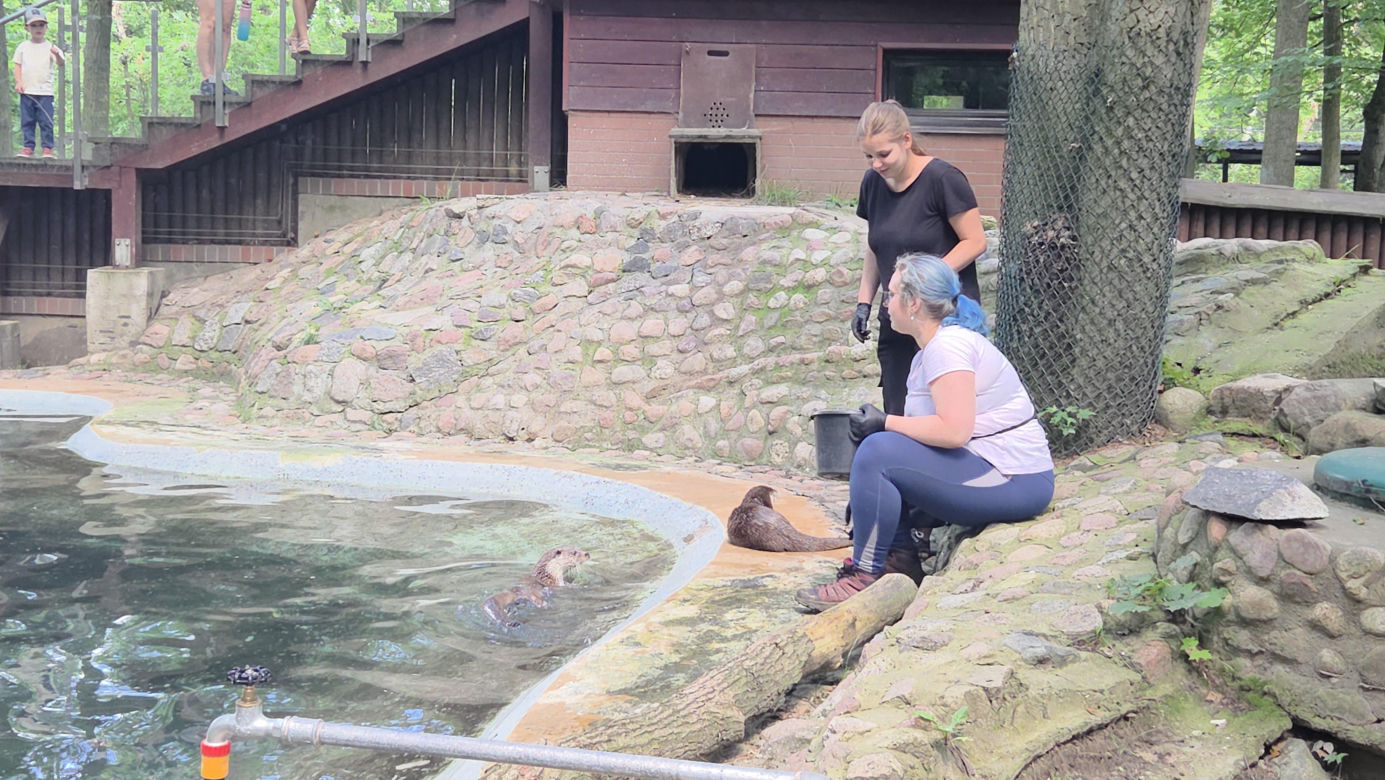 Pokazowe karmienie w myślęcińskim zoo to prawdziwy hit! Sprawdziliśmy to na miejscu
