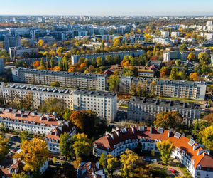 Serek żoliborski w Warszawie