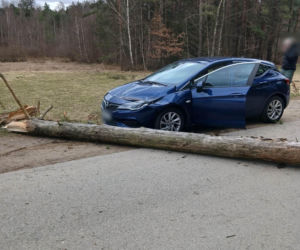 Zerwane dachy, powalone drzewa i prawie 11 tysięcy odbiorców bez prądu!