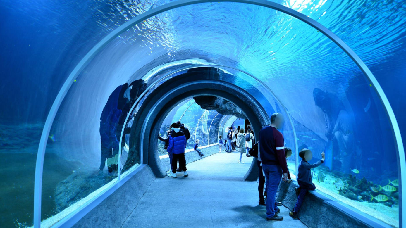 Afrykarium we Wrocławiu i Orientarium w Łodzi