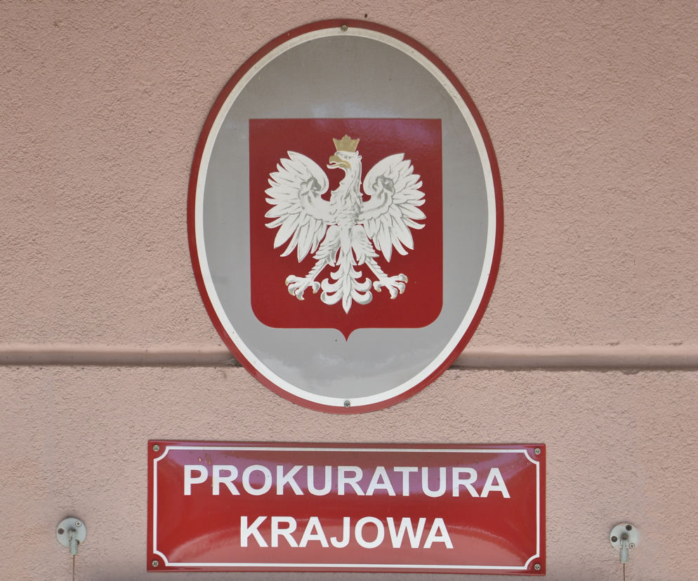 Godło Polski i tablica z napisem Prokuratura Krajowa. O śledztwie w sprawie afery Epsteina przeczytasz na SE Polityka.