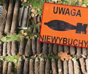 Niebezpieczne znalezisko w środku lasu. Do akcji wkroczyli saperzy