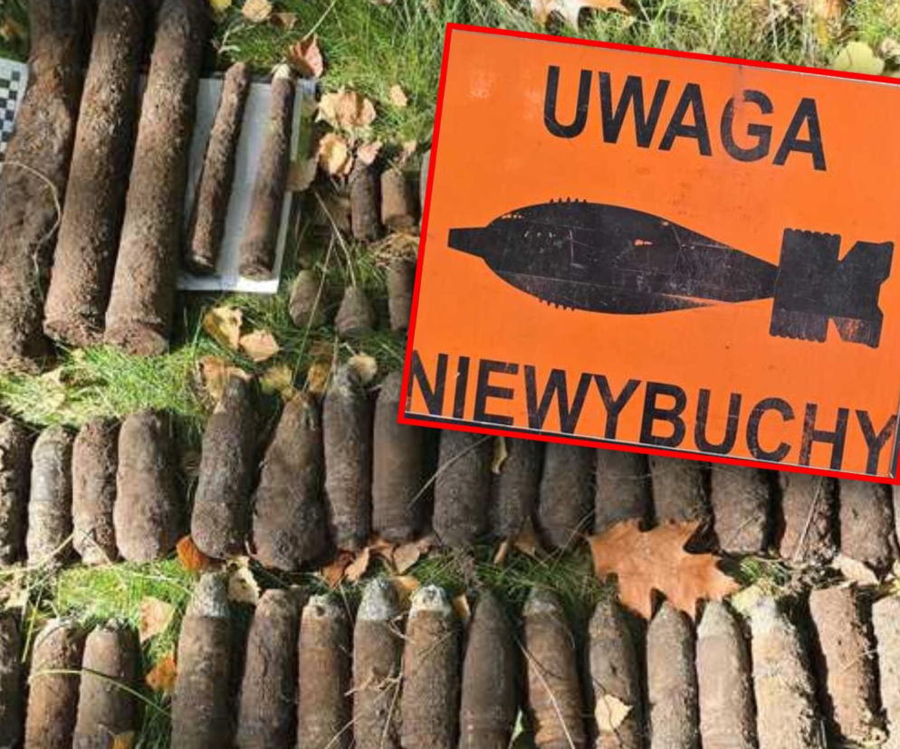 Niebezpieczne odkrycie w lesie pod Białogardem. Interweniowali saperzy
