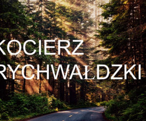 kocierz rychwałdzki