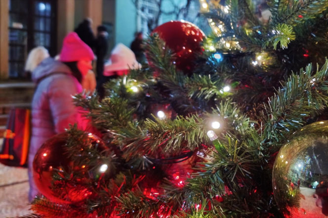 Choinka przed urzędem miasta w Szczecinie