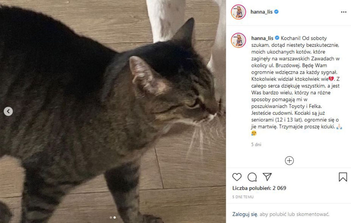 Hanna Lis odnalazła swoje koty