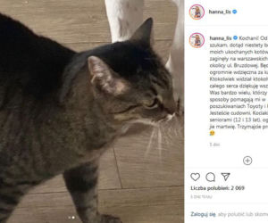 Hanna Lis odnalazła swoje koty