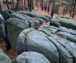Bukowa Góra