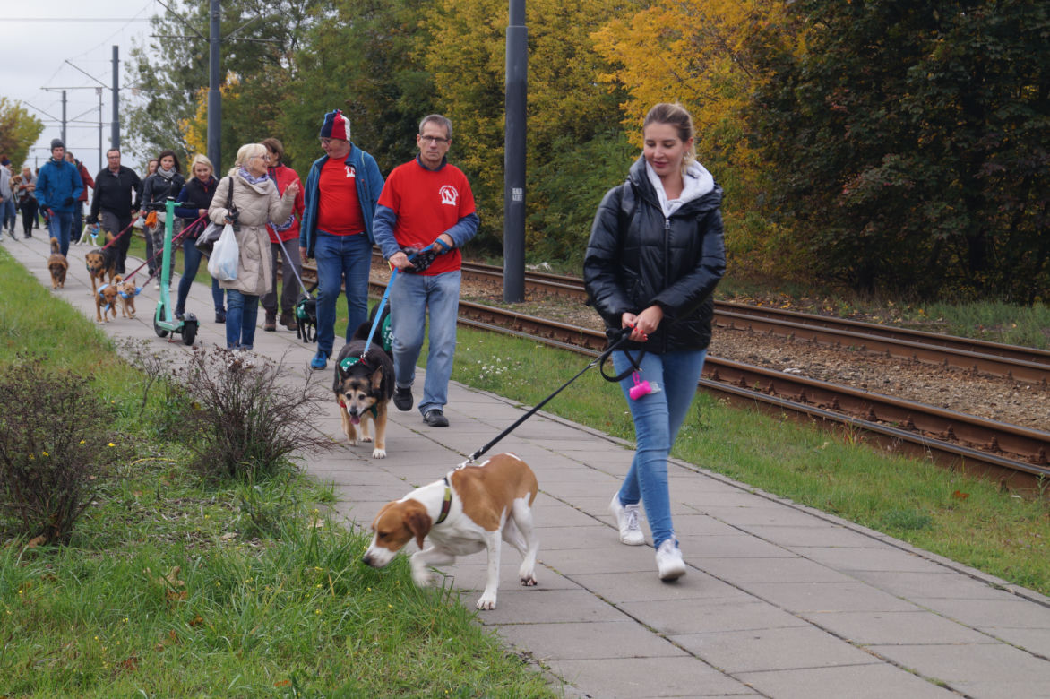 Parada Psów Adoptowanych w Bydgoszczy 2022 [ZDJĘCIA]