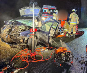 Na zakręcie pojechali prosto, ze sobą wieźli dwa duże psy. Czy któryś z nich ugryzł kierowcę?