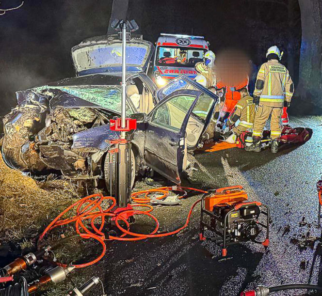 Na zakręcie pojechali prosto, ze sobą wieźli dwa duże psy. Czy któryś z nich ugryzł kierowcę?