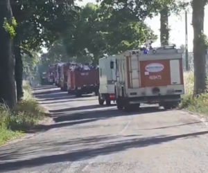 Ogromny pożar składowiska odpadów pod Mogilnem! [ZDJĘCIA]
