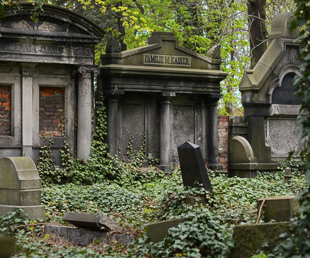 To pierwsze takie wykopaliska w Polsce od czasów wojny! Archeolodzi znaleźli cuda na starym cmentarzu