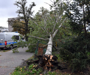Skutki wichury w Szczecinie