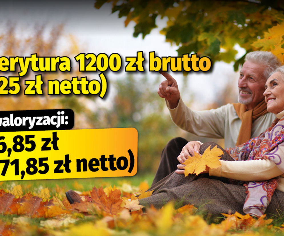 Polski Ład/waloryzacja 4,89