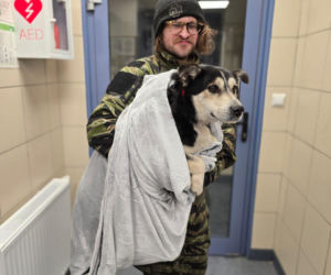 Wielka akcja w schronisku pod Radomiem. Zwierzęta pilnie szukają domów!