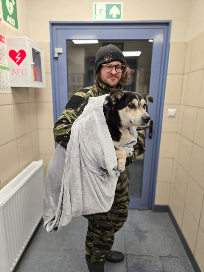 Wielka akcja w schronisku pod Radomiem. Zwierzęta pilnie szukają domów!