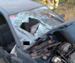 Koszmarny wypadek w Rogaszycach! 18-letnia pasażerka wyleciała przez przednią szybę! [ZDJĘCIA]
