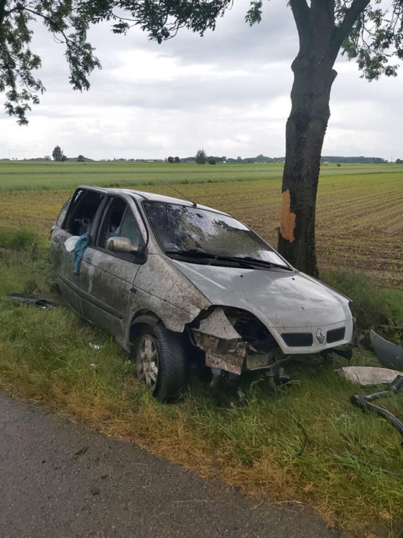 Jatwieź Duża. Wypadek: Kierowca renault rozbił się na drzewie [ZDJĘCIA]