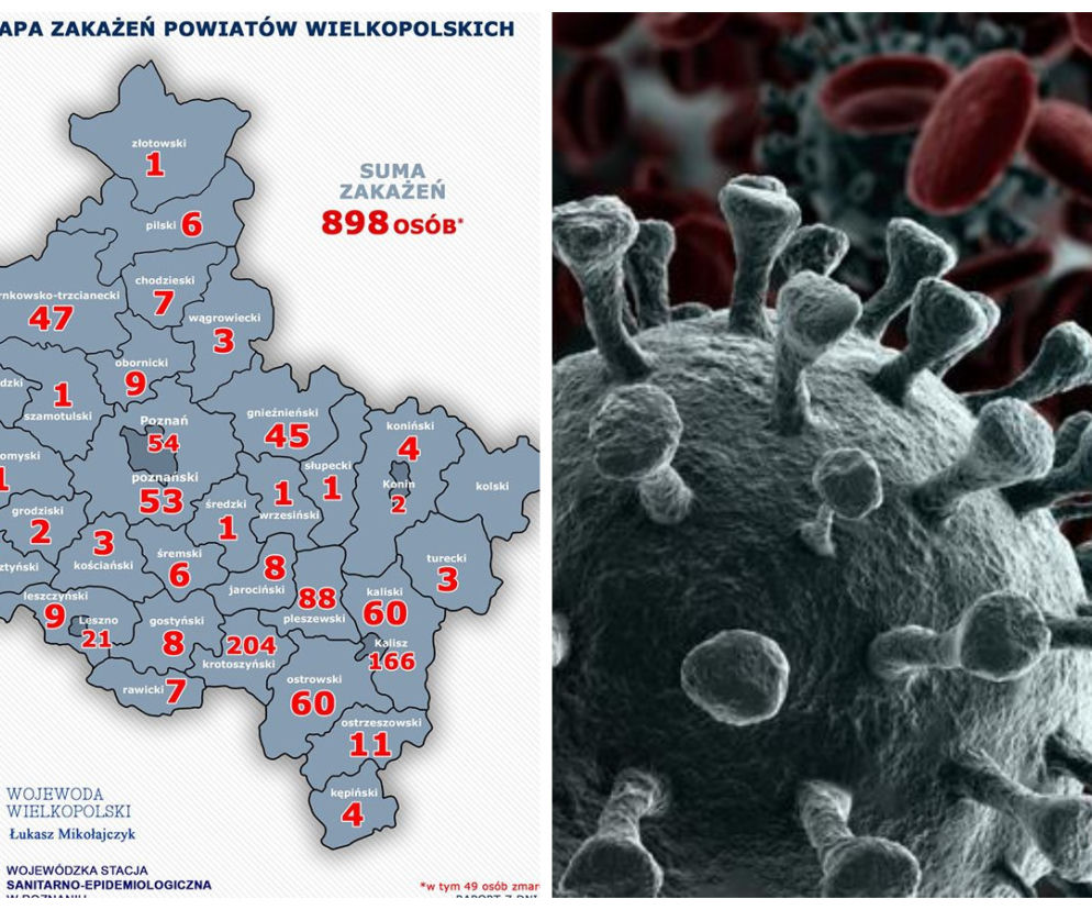 Koronawirus w Wielkopolsce