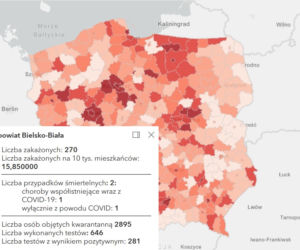 Koronawirus w województwie śląskim. Tak wygląda sytuacja w poszczególnych powiatach [RAPORT, 19 MARCA]