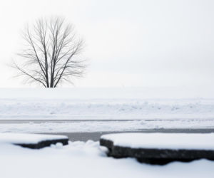 Zimowy kataklizm w Ameryce Północnej. Bilans ofiar rośnie, a to jeszcze nie koniec?
