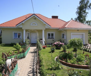 Ścieżki i nawierzchnie ogrodowe - leśny ogród