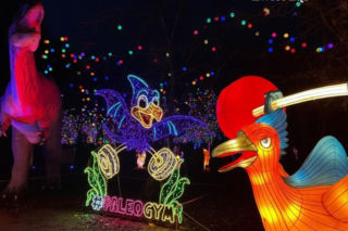 Garden of Lights