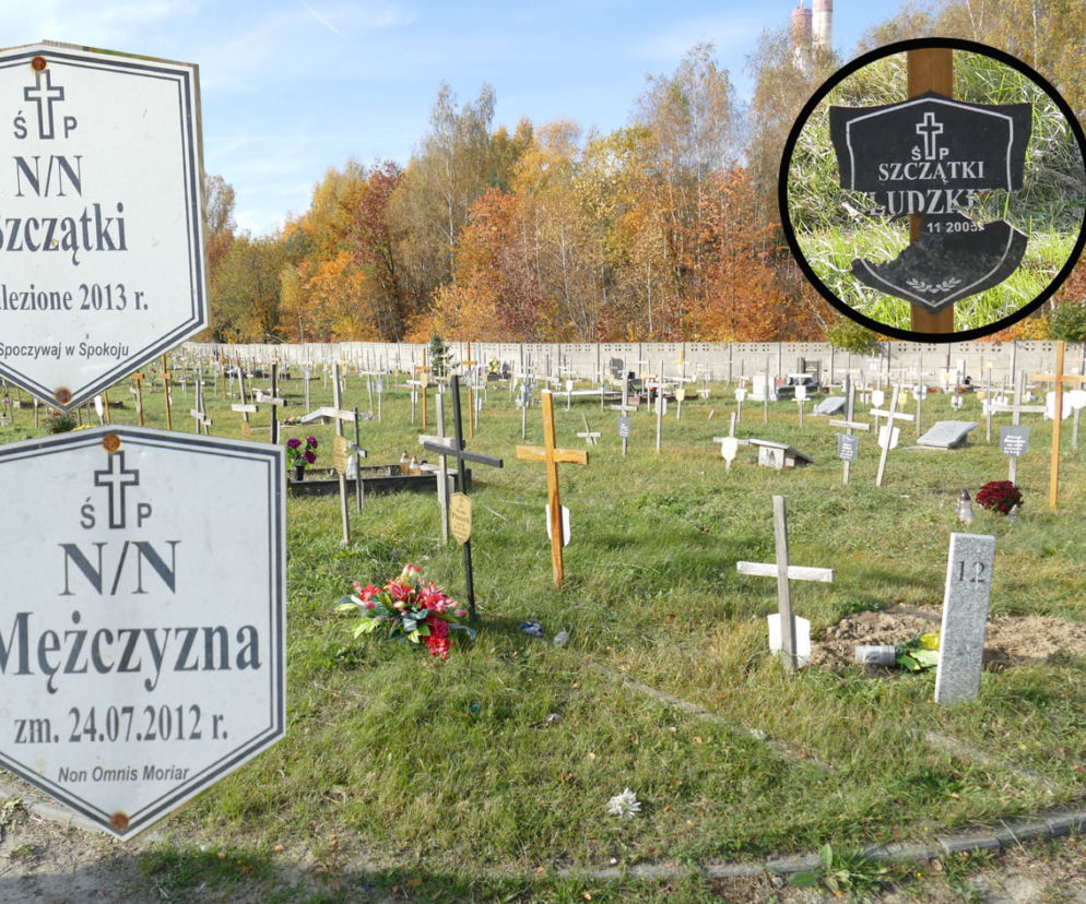 Najsmutniejszy cmentarz w Łodzi